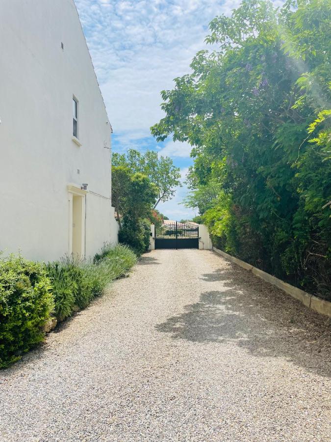 Les Ecuries - 3 Bedroom Gite With Plunge Pool Near Narbonne & The Canal Du Midi Saint-Nazaire-d'Aude Exterior photo